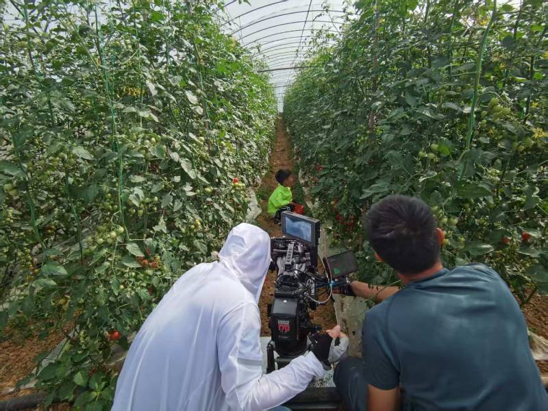 大同产品宣传视频拍摄公司进阶指南，助力品牌抢占传播高地